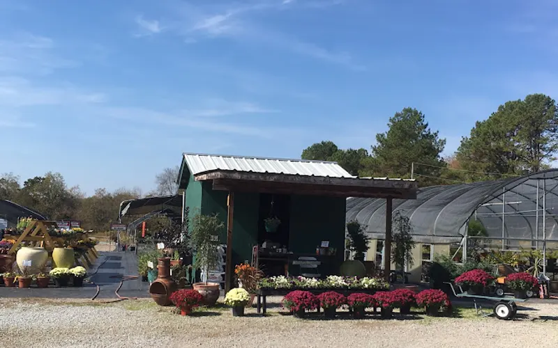 Rudy's Nursery & Garden Center — Garden center