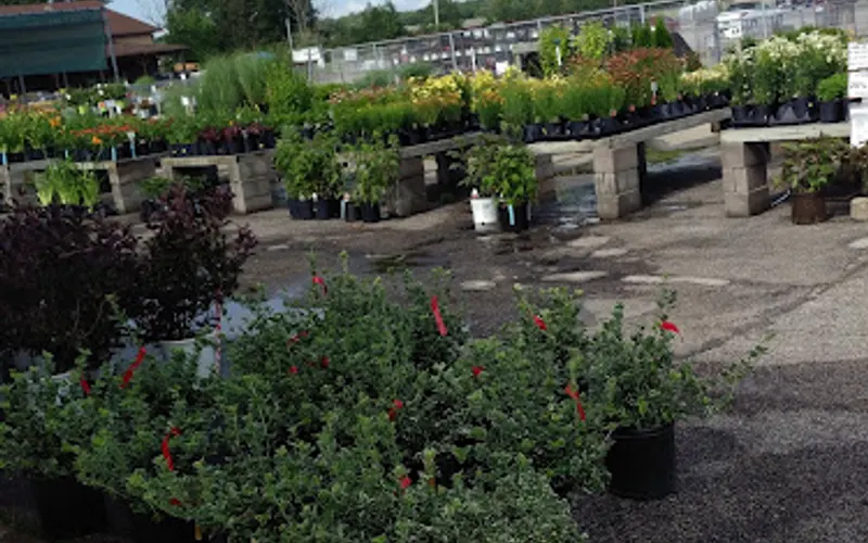 Petitti Garden Centers — Garden center