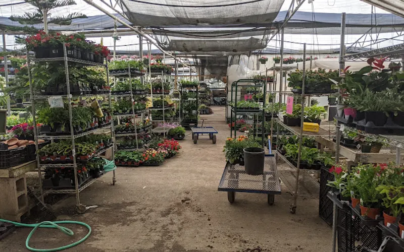 Blue Sky Nursery — Plant nursery