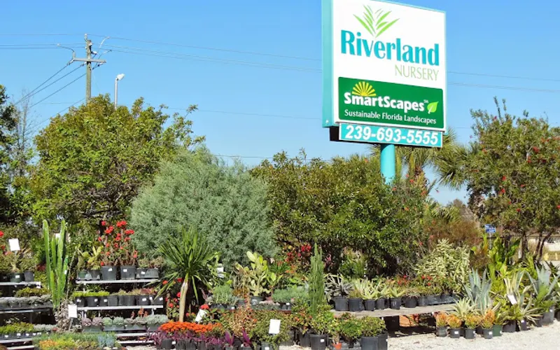 Riverland Nursery — Garden center