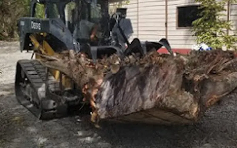 Bryce Tree Service — Tree service