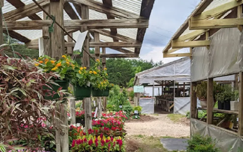 Bear Creek Nursery — Plant nursery