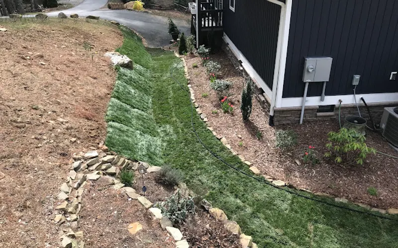 Super-Sod of Hendersonville — Sod supplier
