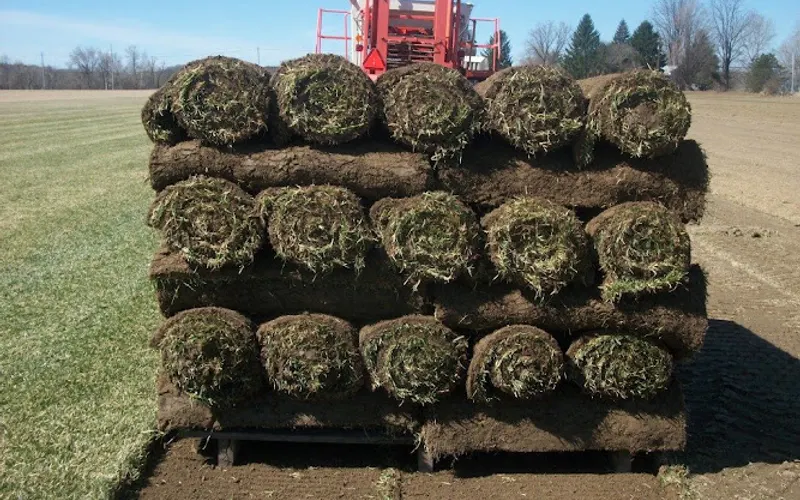 Saratoga Sod Farm — Sod supplier