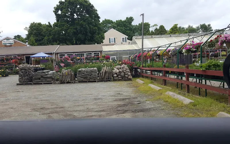 Hattoy's Nursery & Garden Center — Garden center