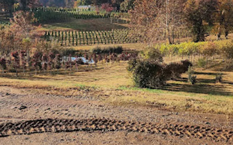 The Kinsey Family Farm — Garden center