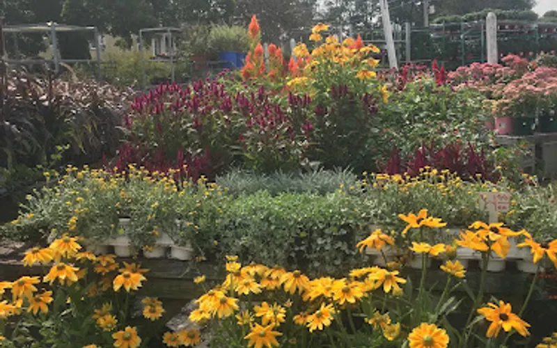 Peter Domino’s Flower Emporium — Plant nursery