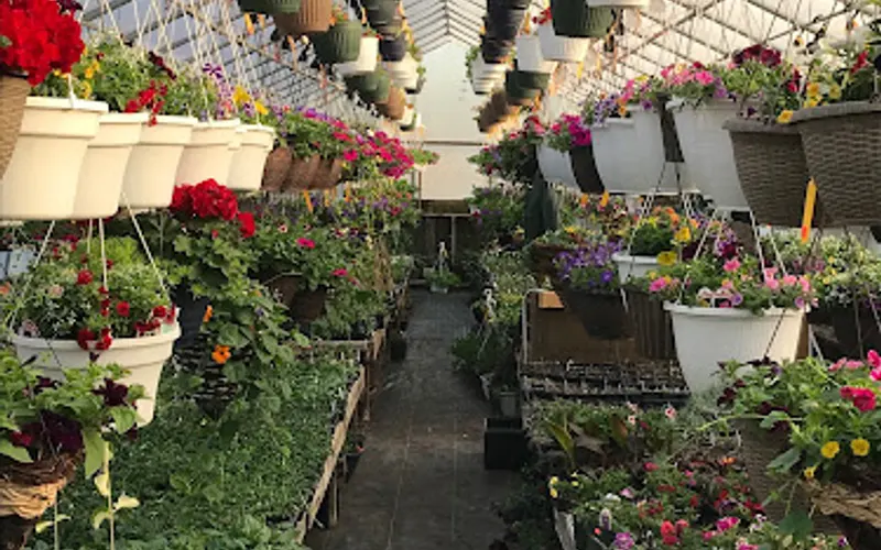 Longwood Gardens — attractions