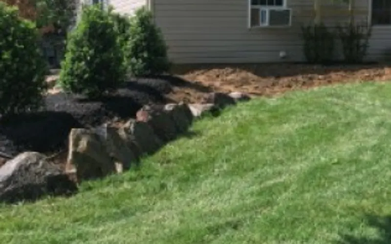Stoltz Creations, LLC — Tree service