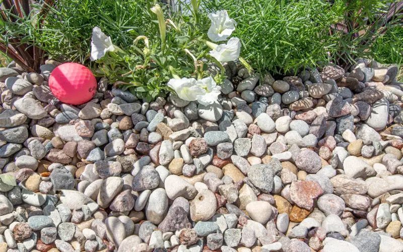 Skarda Landscape Supply — Topsoil supplier