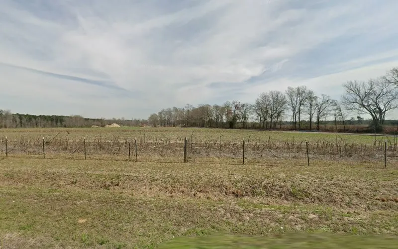 Shane Tyler Fill Dirt Pit — Manufacturer