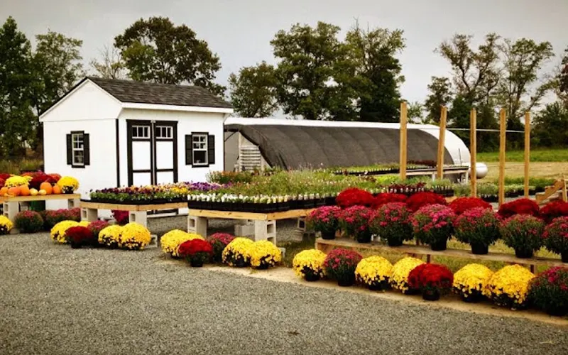 Garden Shack Farm — Garden center