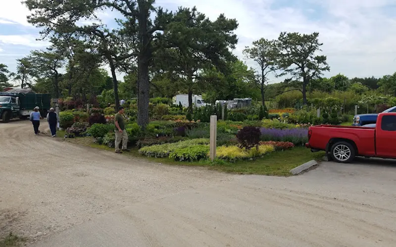 Sam's B C Nurseries — Garden center