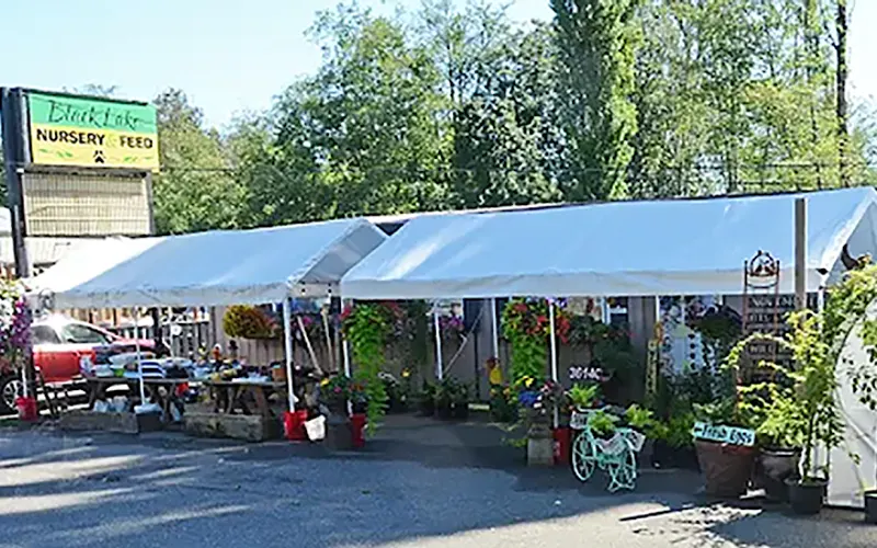 Black Lake Nursery and Feed — Animal feed store