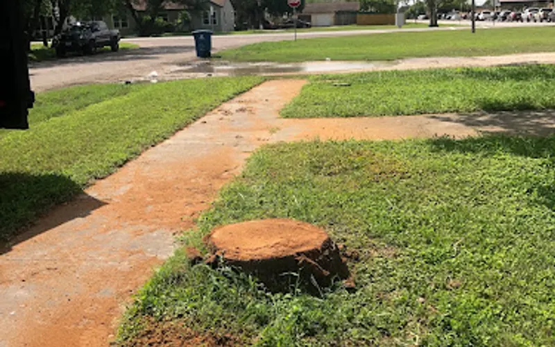 Tree Trimming Services — Tree service