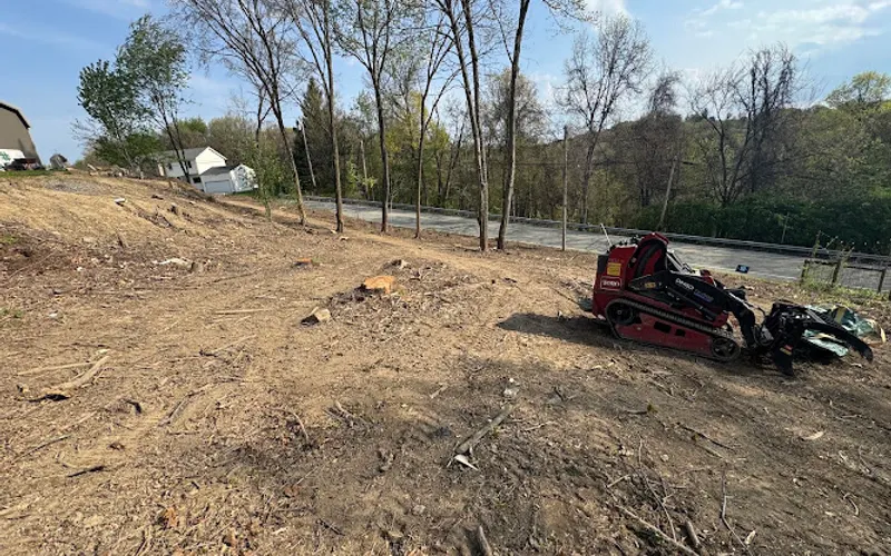 The Great Knock 'Em Down — Tree service