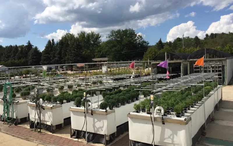 Rock Valley Garden Center Inc — Garden center