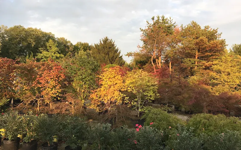 J Carlson Growers, Inc — Garden center
