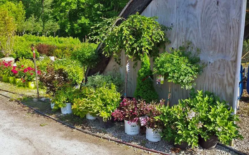 Sherman Nursery Farms | St. Clair County Landscaping — Landscaper