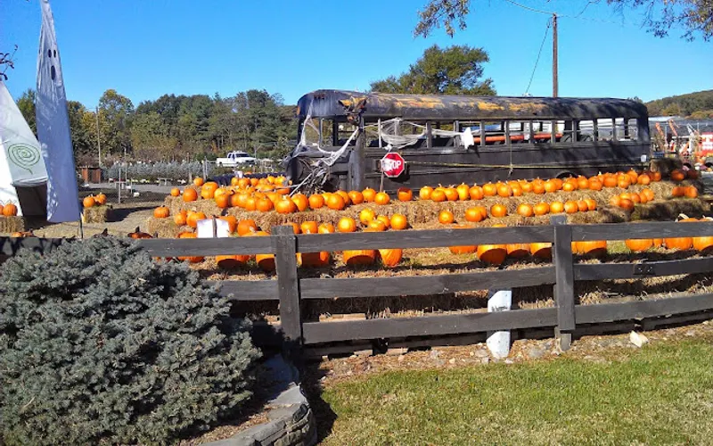 Meadows Farms Nurseries and Landscape — Landscaper