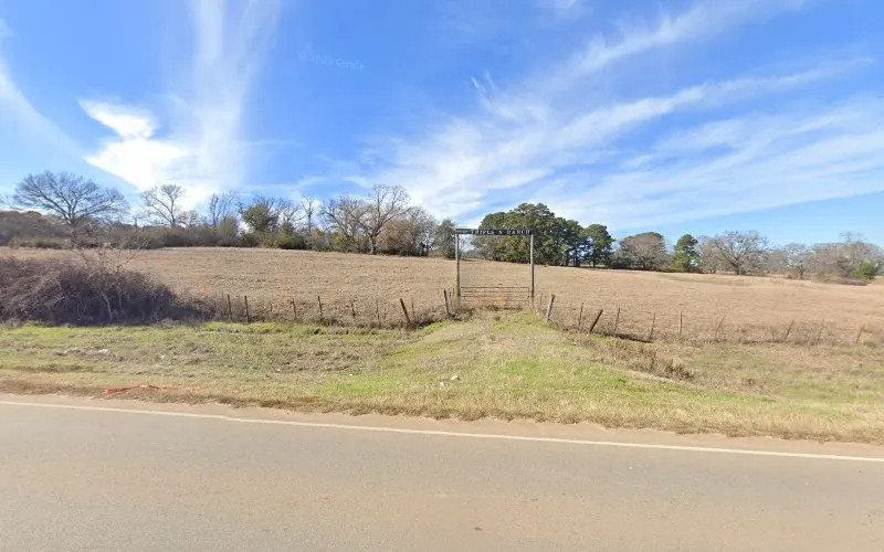 Lindale dirt pit #2 — Construction company