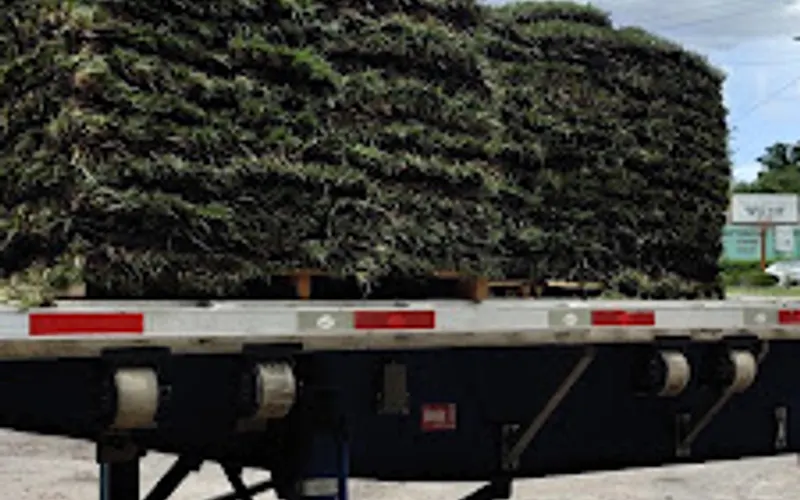 Jimmy's Sod Co — Sod supplier