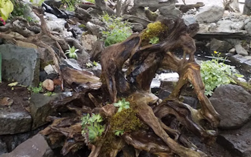 reclaimed driftwood — Art supply store