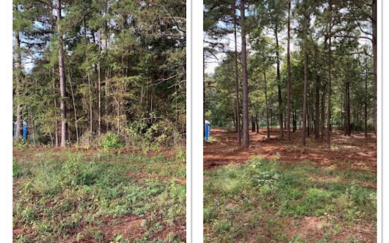 Harris Mulching & Land Sercives, LLC — Tree service