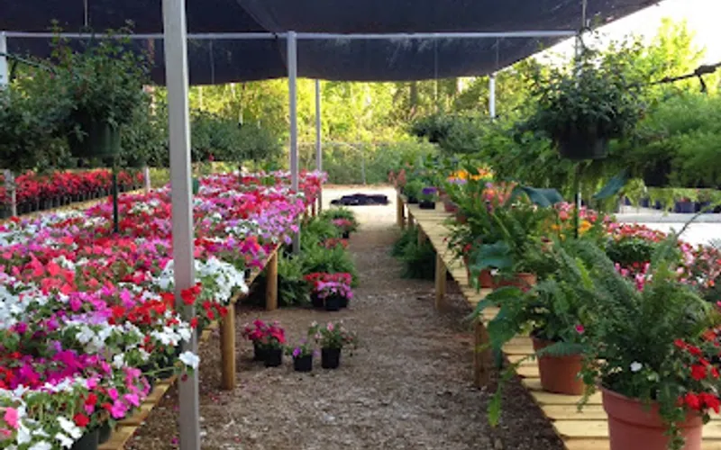 Longview Garden — Garden center