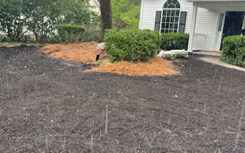 Daly Organics- Mulch, Compost, and Topsoil — Topsoil supplier