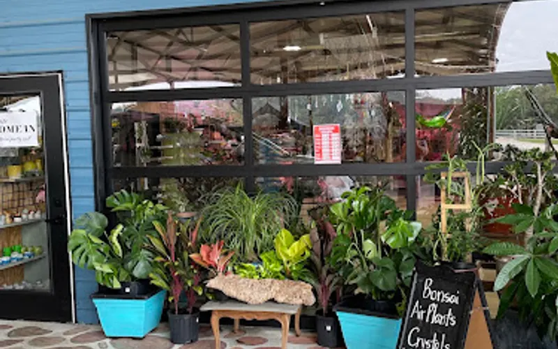 Growing Hobby — Garden center