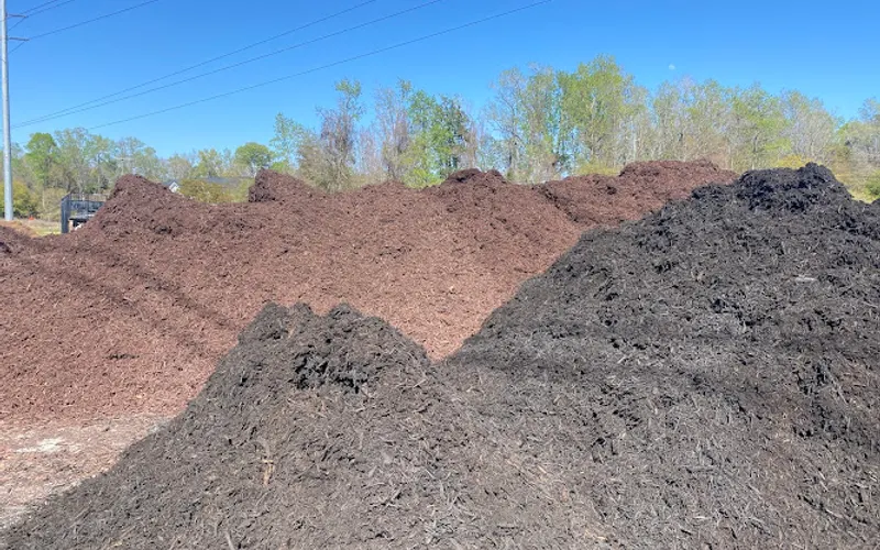 The Golden Pine straw llc — Landscaping supply store