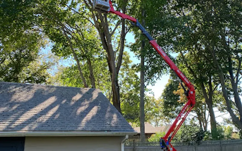 Johnson Tree Co. — Tree service