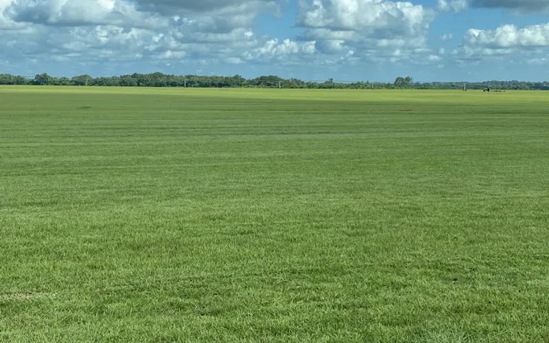 BYRD SOD FARM — Sod supplier