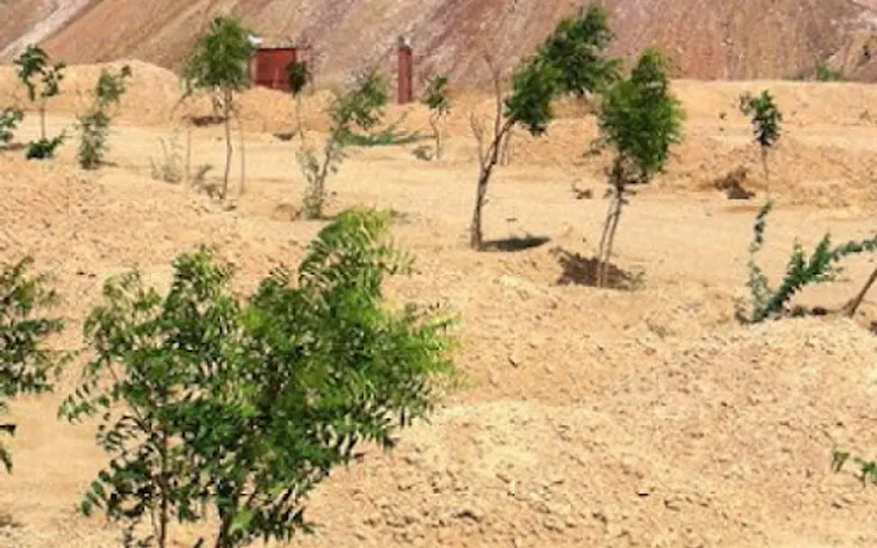 Rechsand — Landscaping supply store