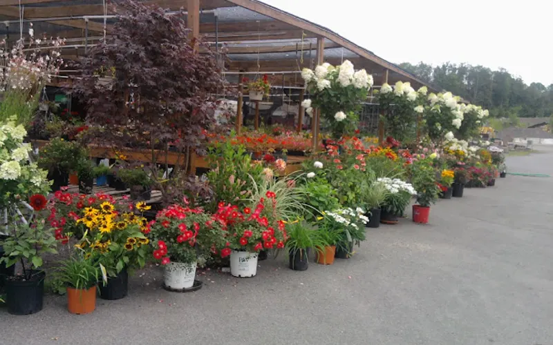Williams Garden Center Inc. — Garden center
