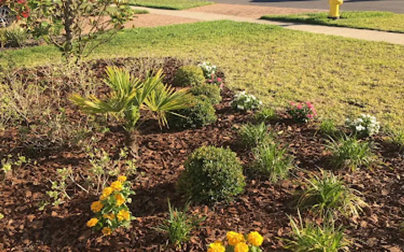 Durbin Creek Nursery — Garden center