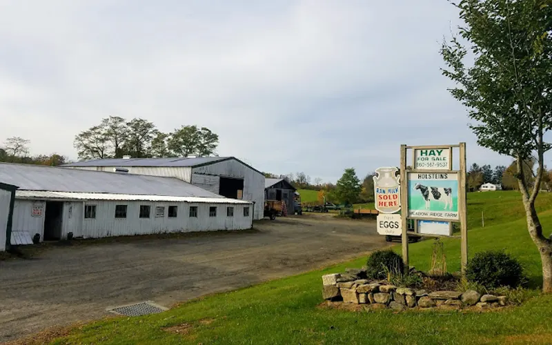 Meadow Ridge Farm LLC — Farm