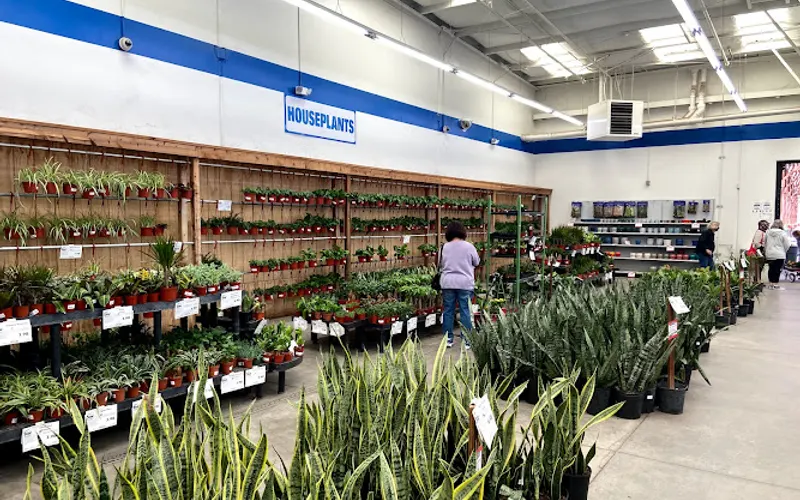 Star Nursery Garden and Rock Centers — Plant nursery