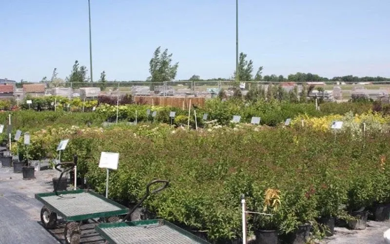Patio World — Retaining wall supplier