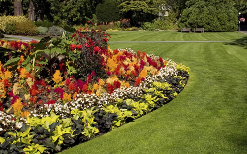 Parrish Gardens Plant Nursery — Plant nursery