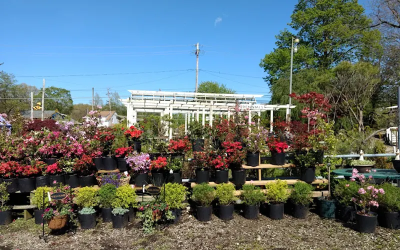 Maple Ridge Nursery & Greenhouse — Garden center