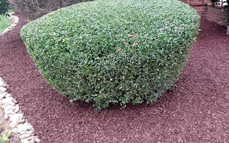 Denali North Carolina LLC — Topsoil supplier