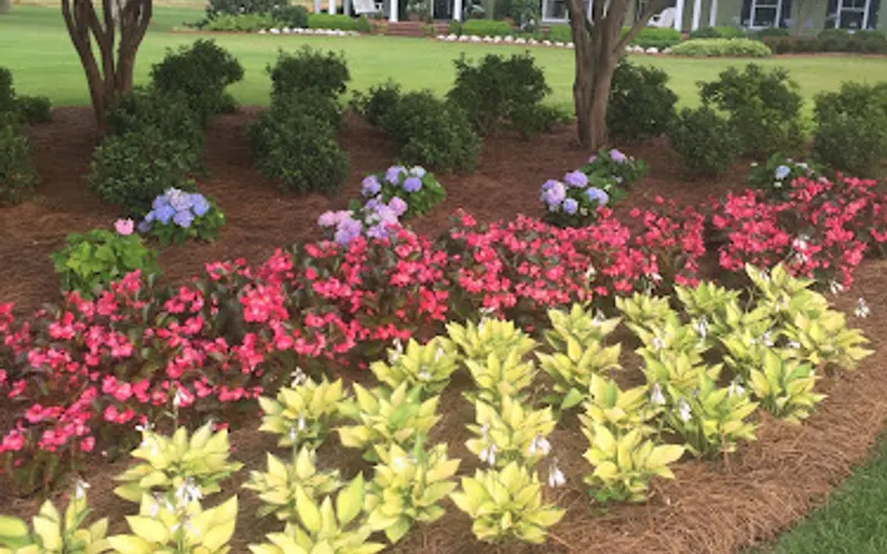 Carroll's Nursery — Plant nursery
