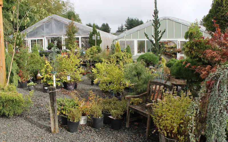Cooleen Gardens — Garden center