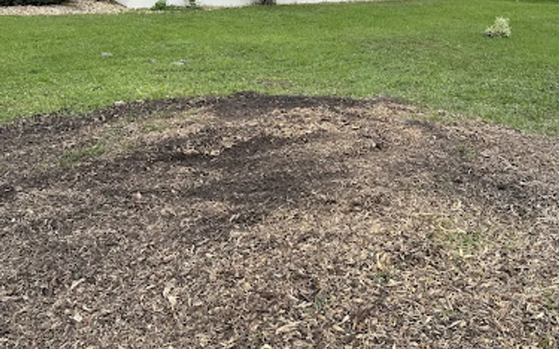 Liberty Services FL, LLC — Tree service