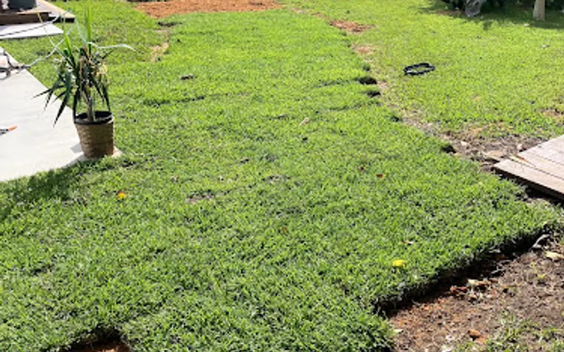 The Grass Yard — Sod supplier