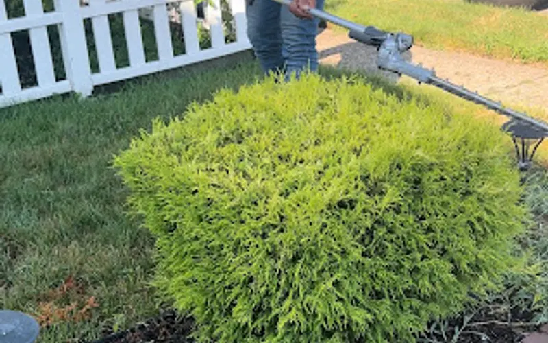 Landscaping in plainfield nj bonillaslandcare — Lawn care service