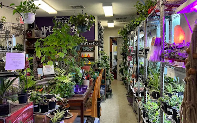 The Wicked Plant Shop — Garden center