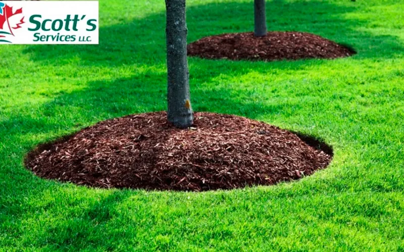 Scott's Services LLC — Lawn care service